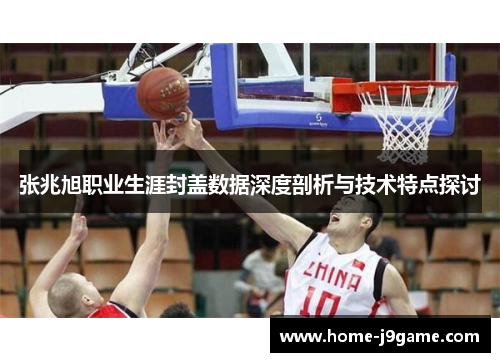 张兆旭职业生涯封盖数据深度剖析与技术特点探讨 张兆旭职业生涯封盖数据深度剖析与技术特点探讨