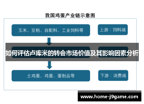 如何评估卢库米的转会市场价值及其影响因素分析 如何评估卢库米的转会市场价值及其影响因素分析
