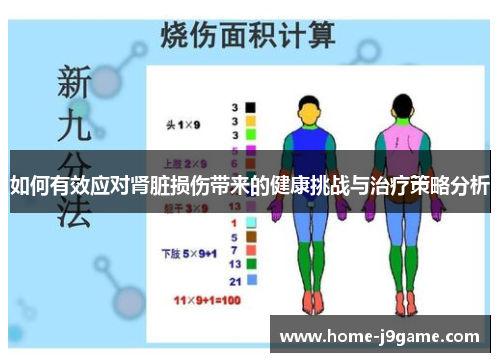 如何有效应对肾脏损伤带来的健康挑战与治疗策略分析