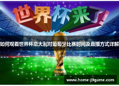 如何观看世界杯意大利对葡萄牙比赛时间及直播方式详解