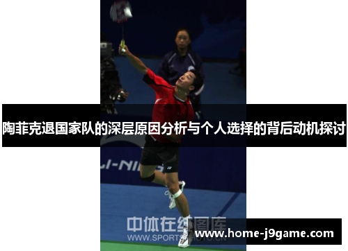 陶菲克退国家队的深层原因分析与个人选择的背后动机探讨