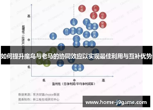 如何提升魔鸟与老马的协同效应以实现最佳利用与互补优势